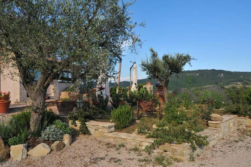 Villa Valentina Spa Umbertide Exterior foto